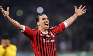 Brescia vs AC Milan: Cảm hứng từ 'cây trường sinh' Brescia vs AC Milan: Cảm hứng từ 'cây trường sinh'