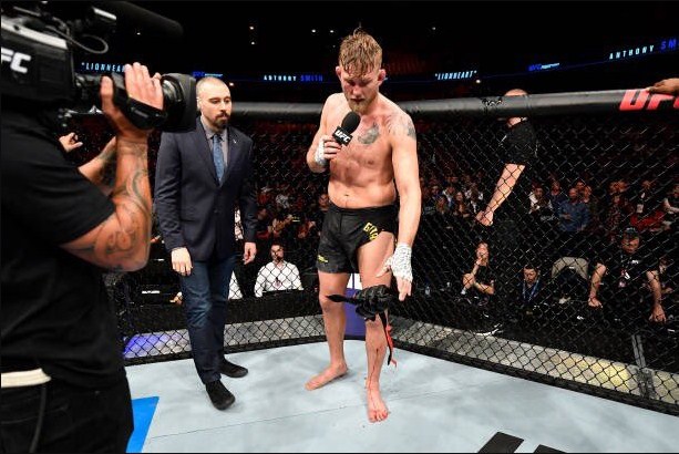 Alexander Gustafsson lặng lẽ buông đôi găng xuống sàn đấu và rời đi trong sự buồn bã. trực tiếp ufc, xem trực tiếp ufc, alexander gustafsson, anthony smith,