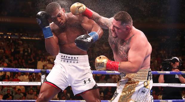 Joshua được cho là đã mất tự tin khi kiểm soát bản thân trong trận đấu với Ruiz. anthony joshua, andy ruiz, freddie roach, boxing,