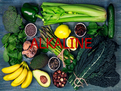 Chế độ ăn kiêng Alkaline Giảm cân, Chế độ ăn kiêng Alkaline