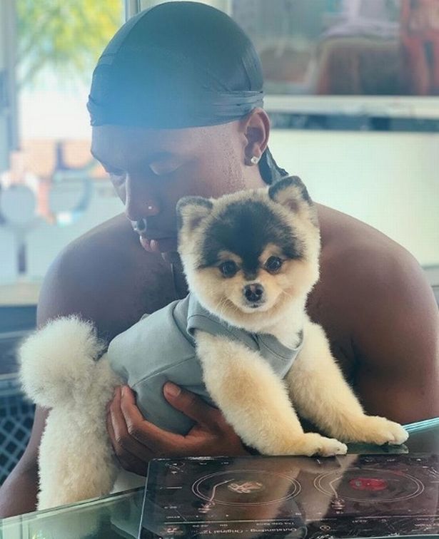 Sturridge đã tìm lại được chú chó cưng của mình Daniel Sturridge, sao liverpool, Daniel Sturridge dog, Sturridge, Sturridge liverpool, liverpool, c1, chó