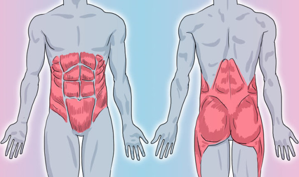 Các nhóm cơ thuộc vùng core