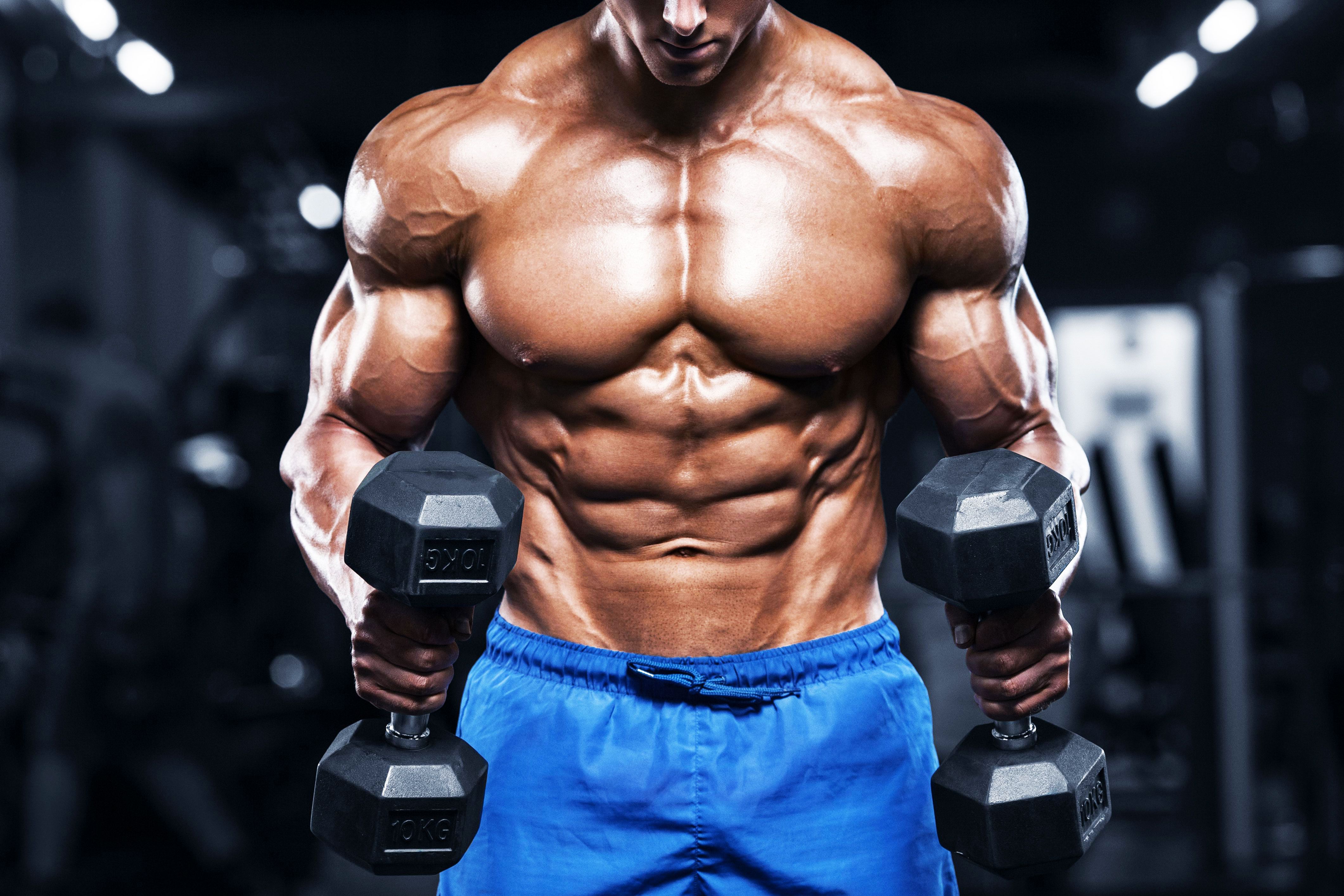 Có 4 phương pháp luyện tập cơ bản để tăng cơ