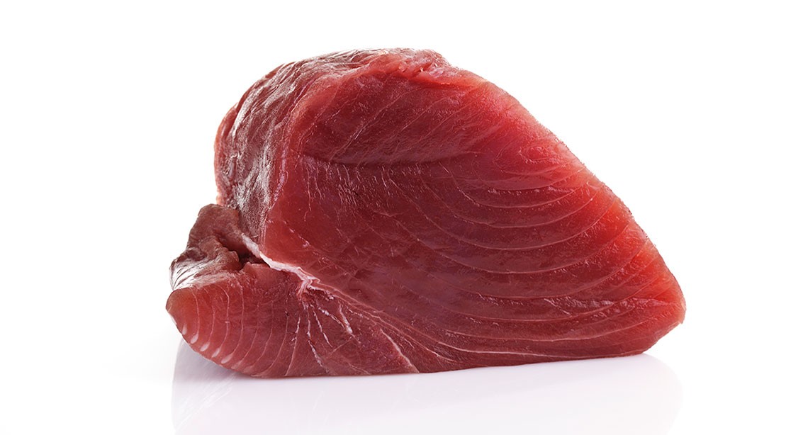 Cá ngừ đại dương