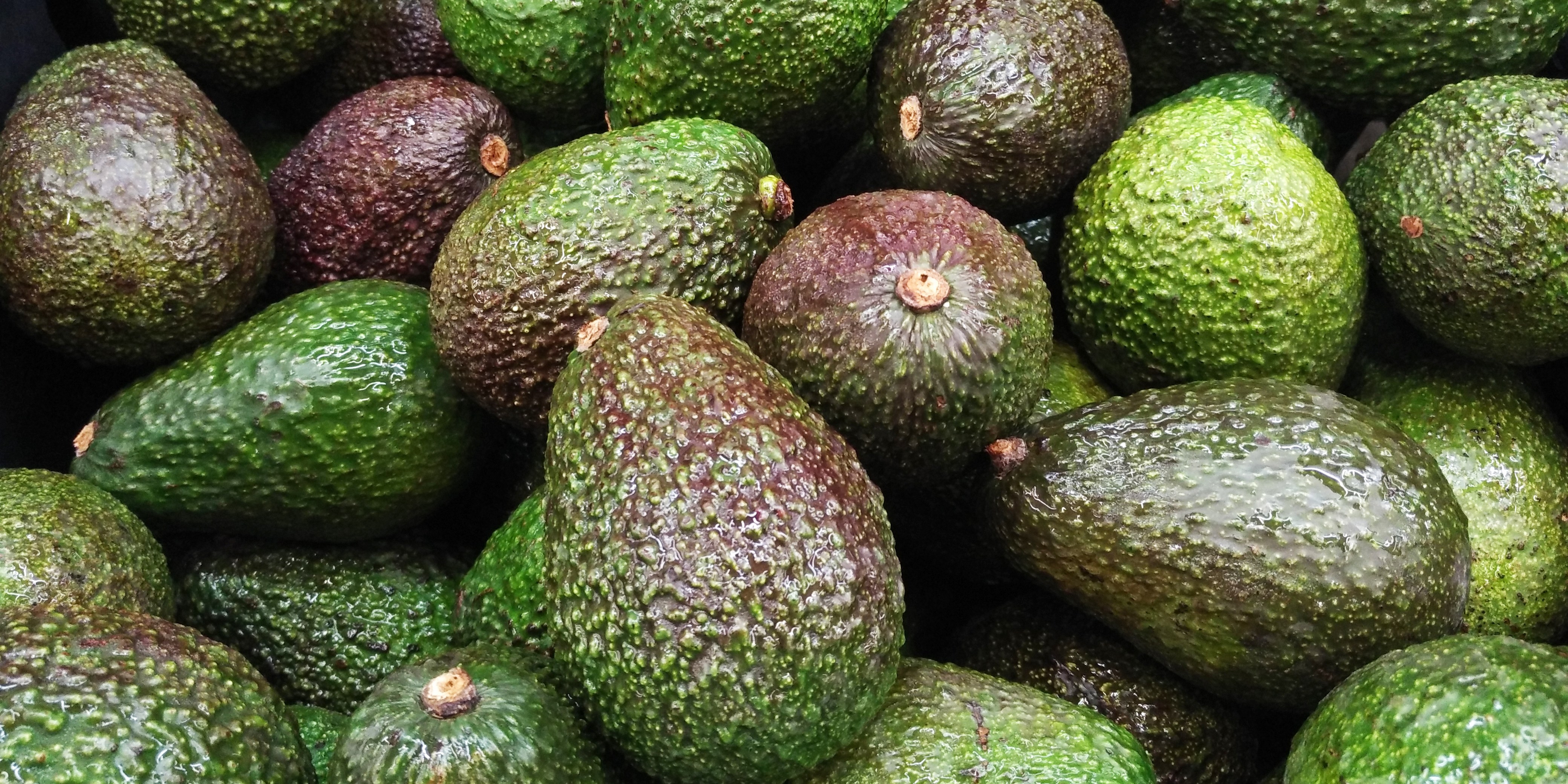 Cách chọn bơ ngon